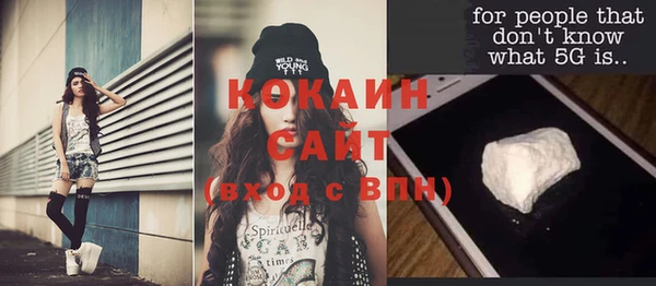 винт Осинники