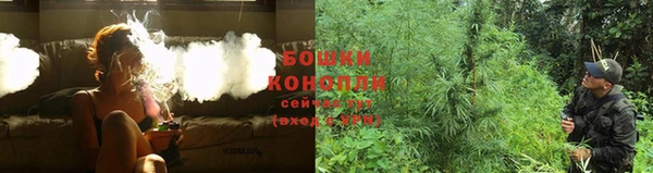 винт Осинники
