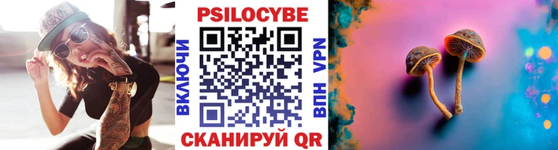 Галлюциногенные грибы Psilocybe  Купить закладки  Сенгилей 